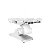 Electric adjustable beautician chair