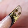 Nail extension courses "Upper forms. Nail extension and correction"