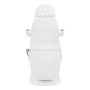 Sillon Lux 273B Electric Cosmetic Chair, 3 Motor, White