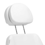 Electric Cosmetology Chair Sillon Classic, 3 Motor, White