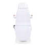 Electrical Cosmetic Chair Sillon Lux, 3 Motor, Cold White