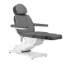 Cadeira cosmética elétrica Sillon clássico, 3 motor, cinza