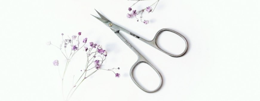 Manicure scissors, manicure tools| https://nailschool.lt/en/